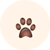 Paw